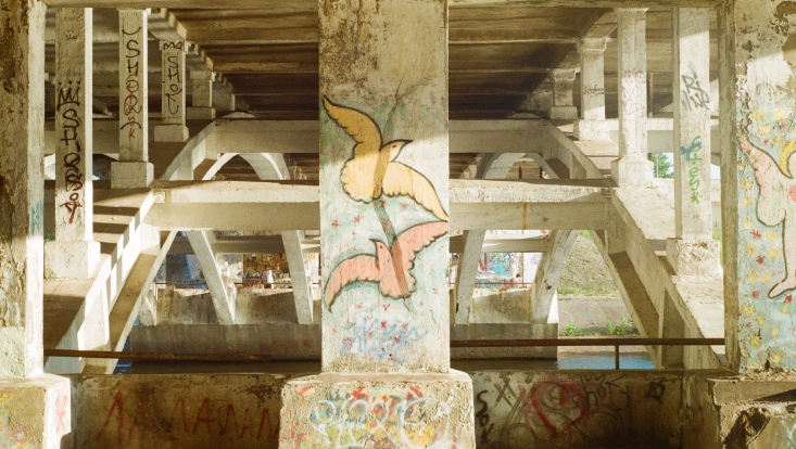 Grafitti von zwei Tauben unter einer Brücke