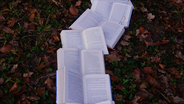 a line of books on the grass