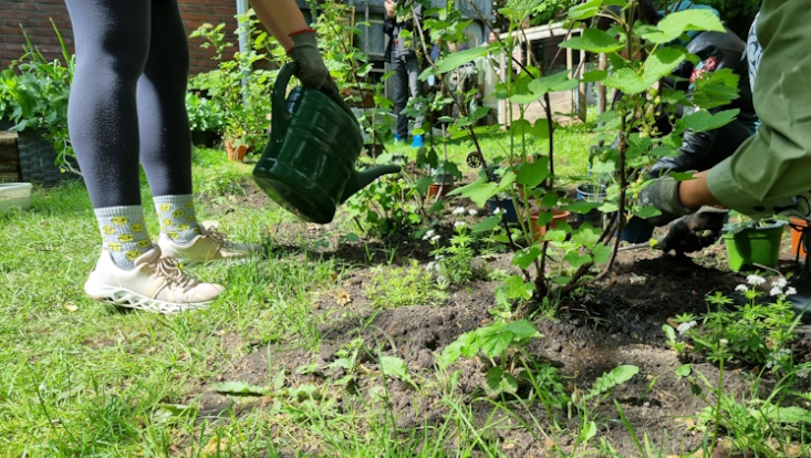wurzelwerk-giessen-733x414 Urban Gardening - Pflanzen Gießen im Wurzelwerk