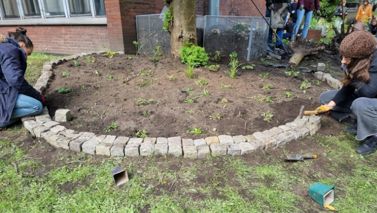 wurzelwerk-staudenbeet-733x414 Urban Gardening - Bau des Staudenbeets im Wurzelwerk