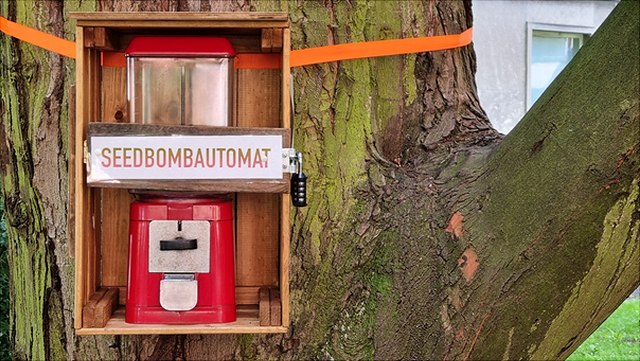 Bild einer Seedbox an einem Baum