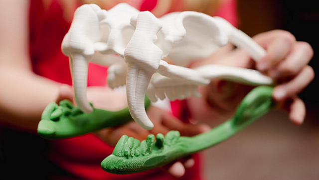 3D-Druckmodell eines Schlangeschädels mit langen Giftzähnen mit weißem oberen Kiefer und grünem Unterkiefer