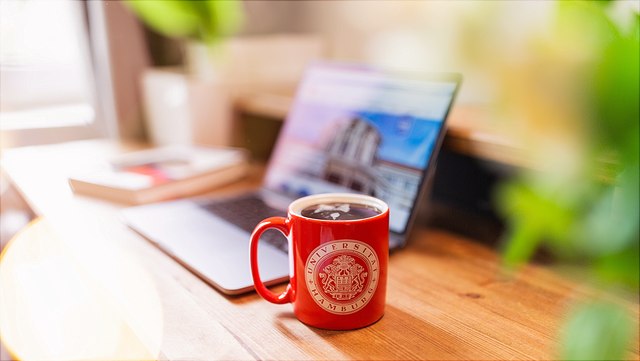 Ansicht eines Computerarbeitsplatzes