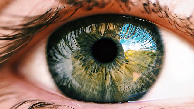 Nahaufnahme eines Auges