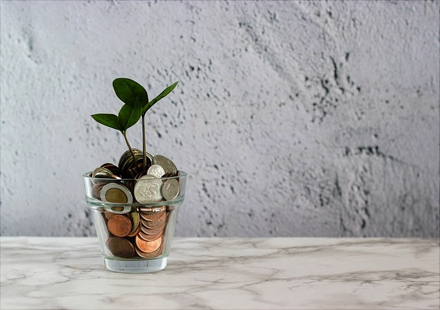 Pflanze in mit Münzen gefülltem Glas