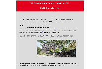 Flyer Sommerschule