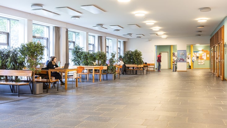 Das Foyer der EW der UHH bei Tageslicht. Links eine Fensterfront und Sitzgruppen mit Bänken, Stühlen und Pflanzen. Wenige Menschen sitzen an Laptops und arbeiten. Geradeaus der Eingangsbereich des Gebäudes. Rechts ein Eingang zur Cafeteria.