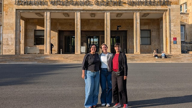 lemas-transfer-auftakt-2025