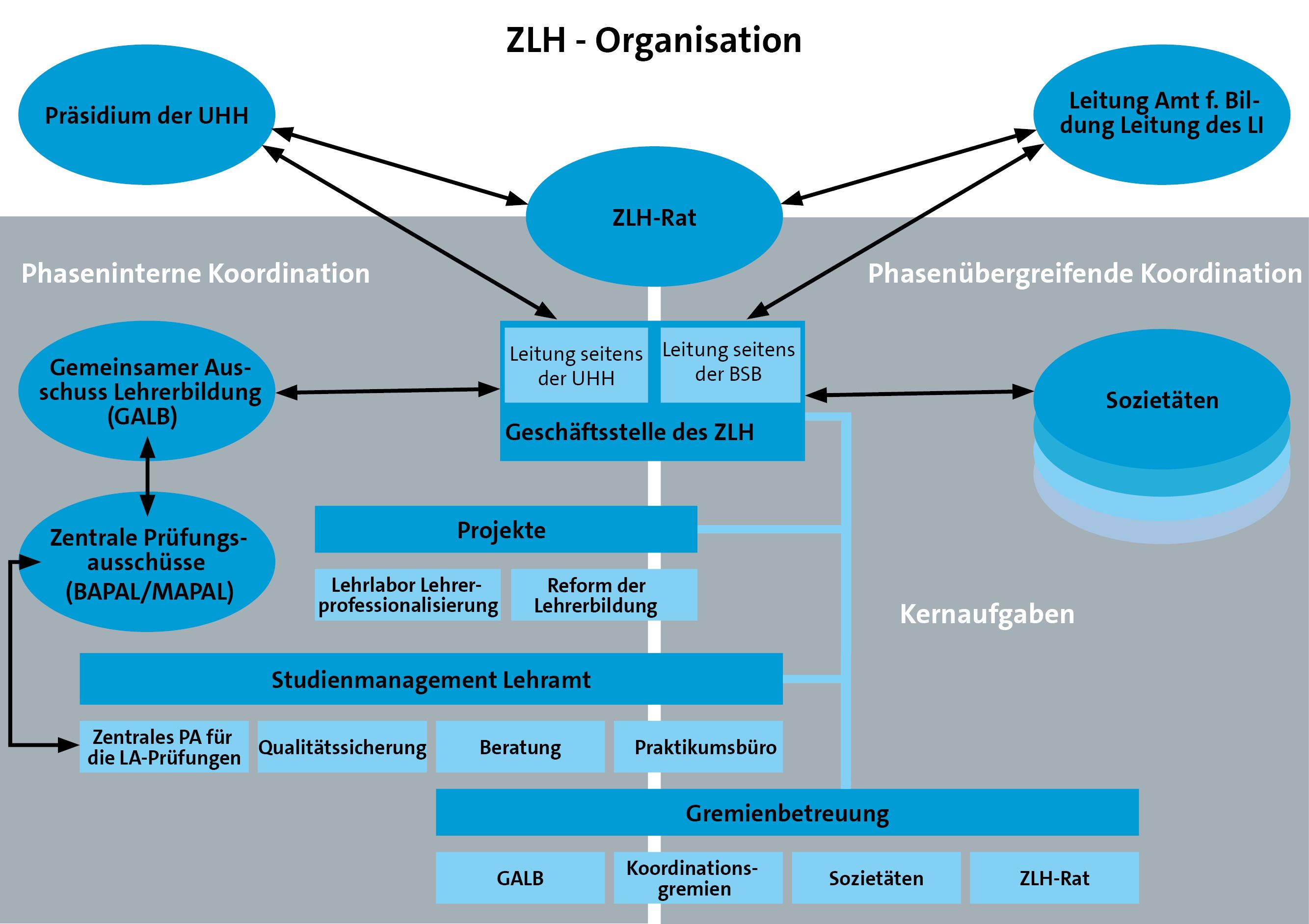 Darstellung der Organisation des ZLH