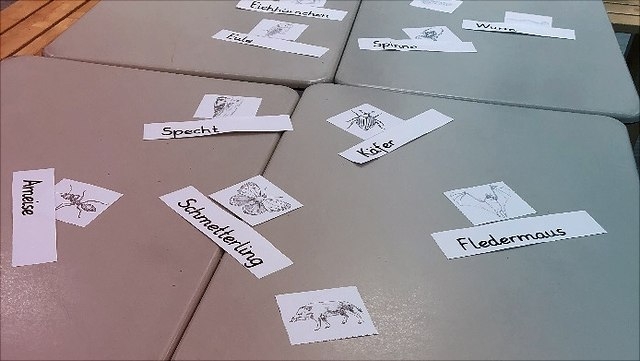 Kärtchen mit Tierbildern und dazu die Bezeichnungen
