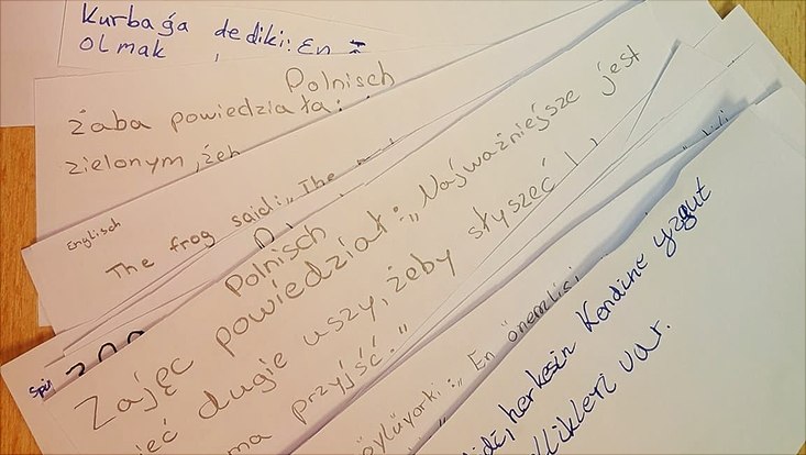 Papiere mit Schift in unterschiedlichen Sprachen liegen auf einem Tisch.