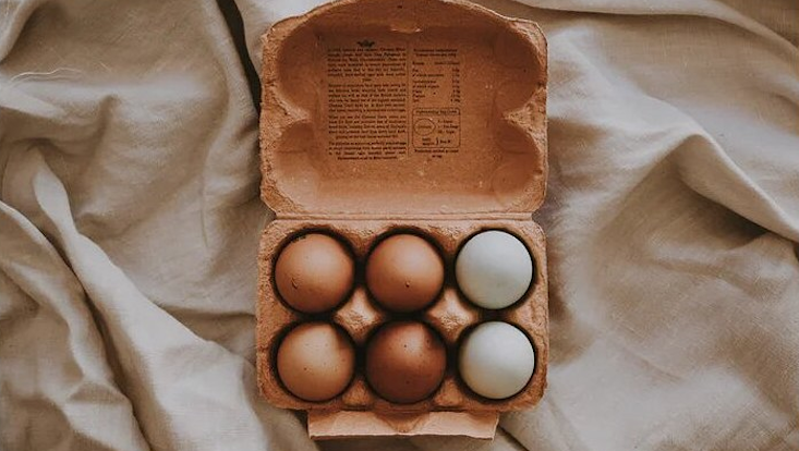 Darstellung der Ziffer 6 durch einen Eierkarton mit 6 Eiern