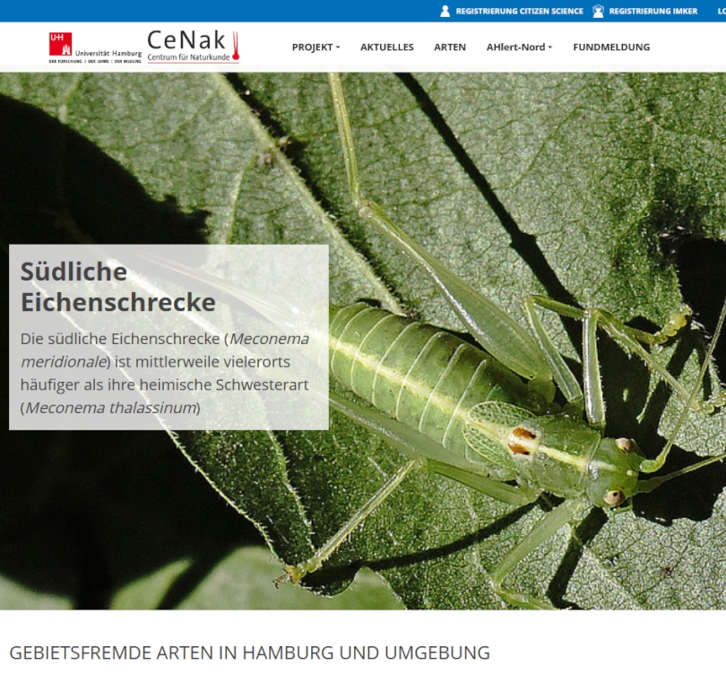 Bild Webseite Invasive Arten