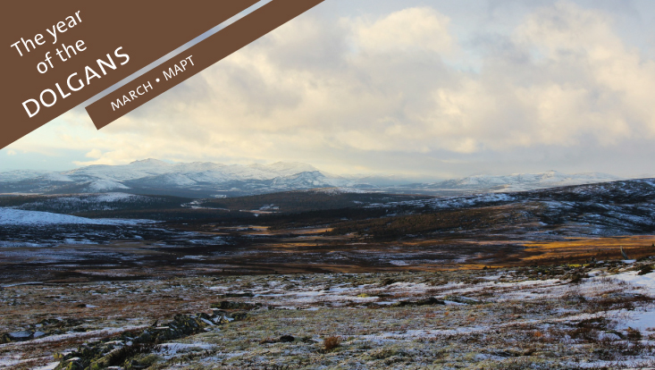 Tundra landscape with grazing reindeer