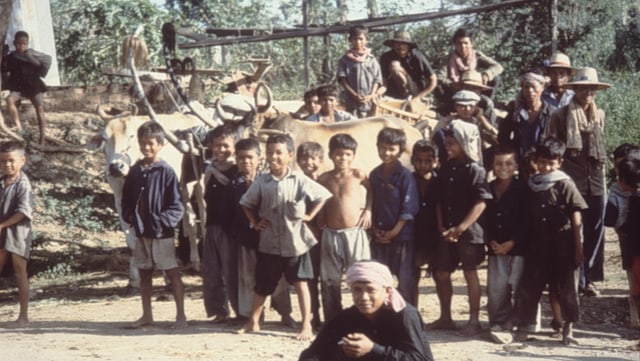 Demography of Mainland-SEA