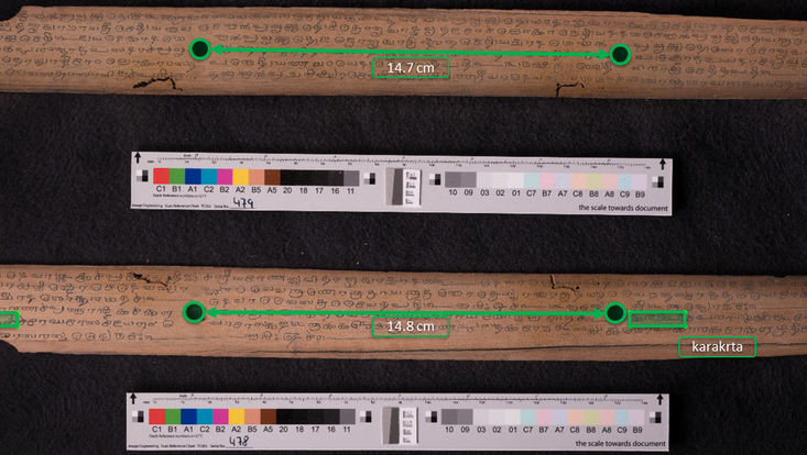 Palmleaves annotated