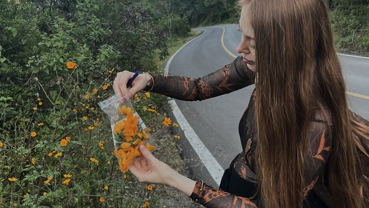 Papermaking in Mexico
