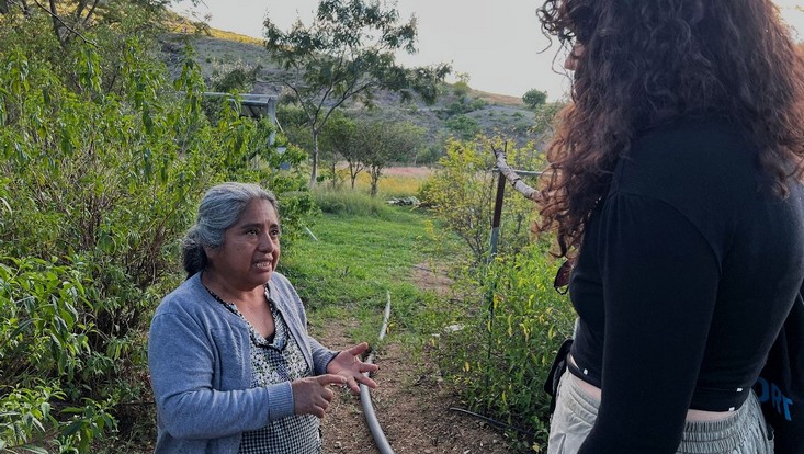 Papermaking in Mexico