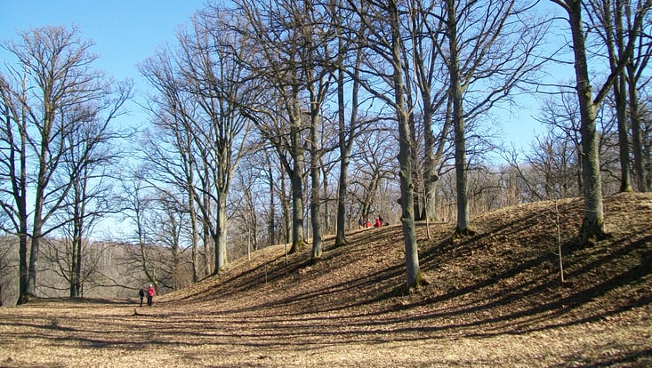 Foto einer frühmittelalterlichen Wallanlage im ehemaligen Ostpreußen