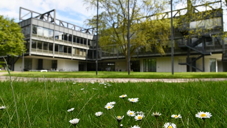 Campus HSU