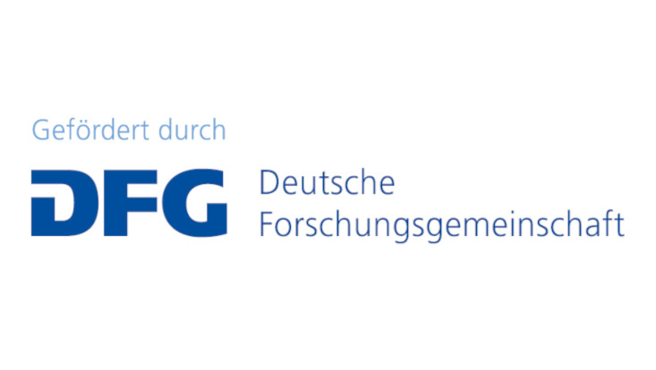 DFG Logo