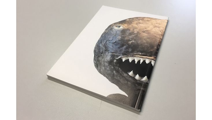 Projekt Printpublikation