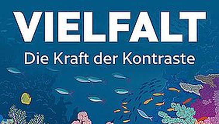 Fische im Ozean