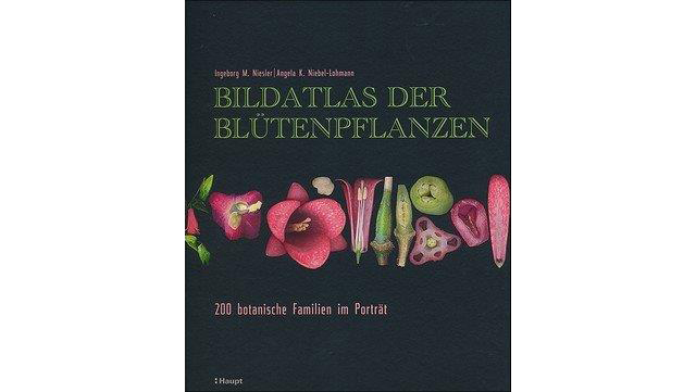 Image of book cover "Bildatlas der Blütenpflanzen"
