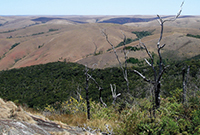 proj-clisap-übers Landschaft in Madagaskar