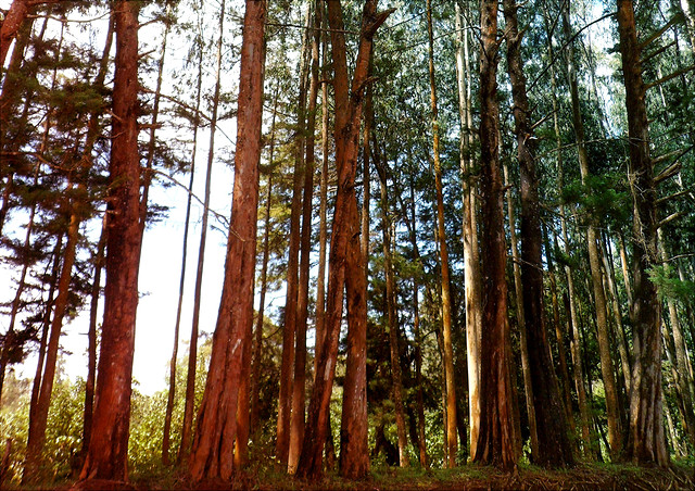 holz-und-wasser-teaser-640x452