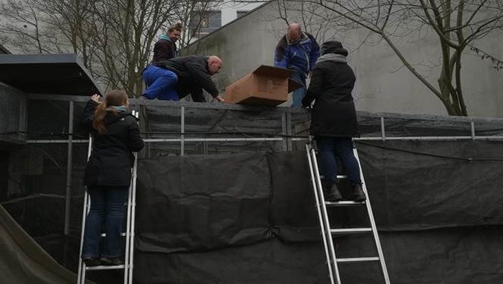 AG treffen am Donnerstag