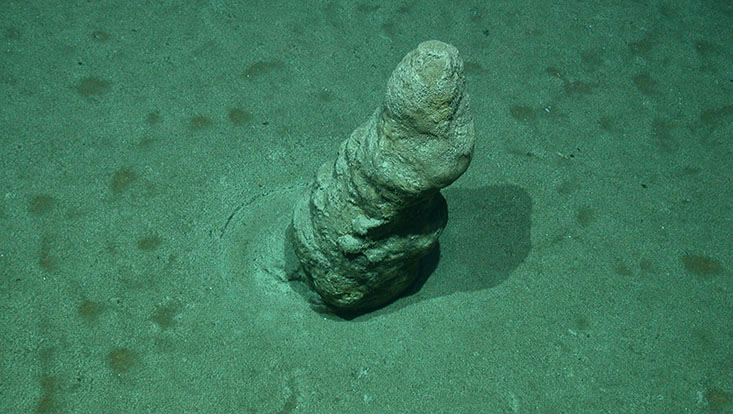 hochstehender stromatolith