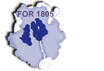 Logo FOR1805