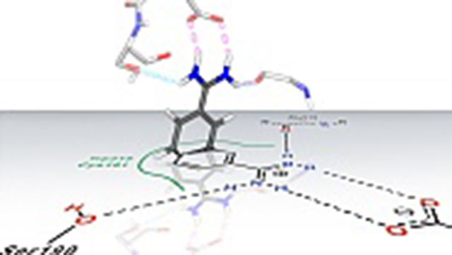 Principia Informatika