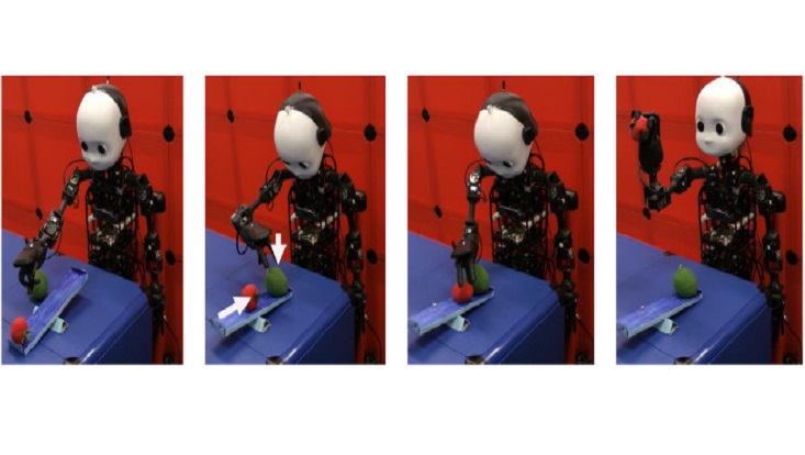 neuralmicrocircuitsprobsolving