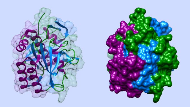 Modelle von Proteinmoleküle