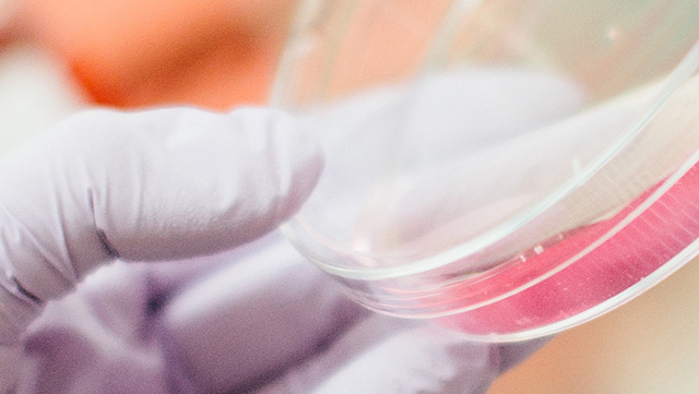 Drew Hays/unsplash.com