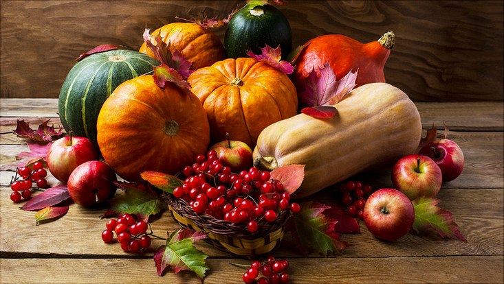 Herbststillleben