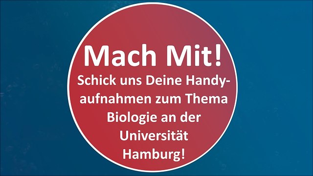 Filmprojekt 100 Filme