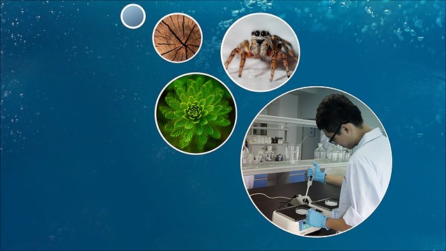 Filmprojekt 100 Filme