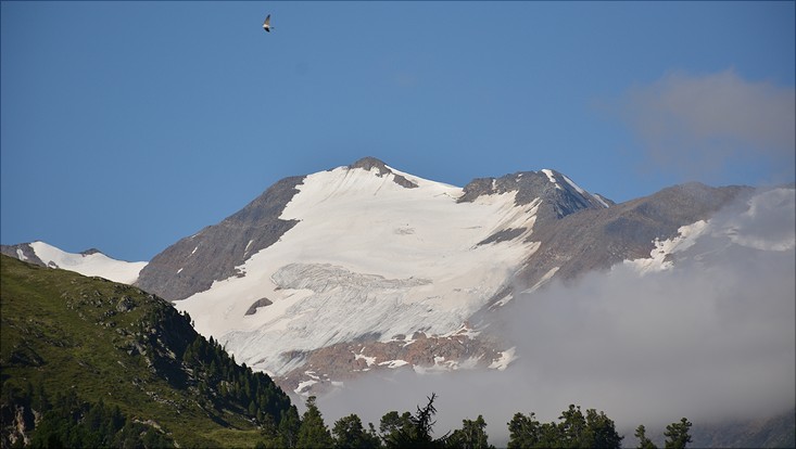 lehre-alpen-oberg-733x414 Obergurgl