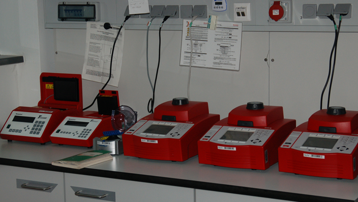 Thermocyclers in the PCR lab Photo of thermocyclers in the PCR lab