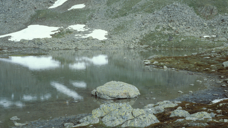Alpine tundra above Obergurgl, Austria Photo of alpine tundra above Obergurgl, Austria
