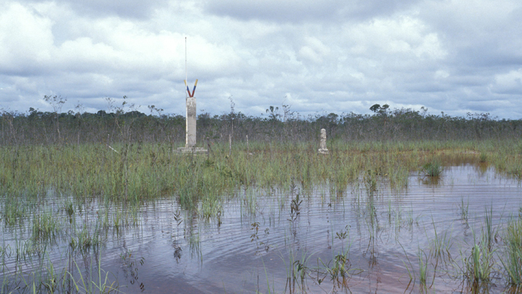 Inundated white sand savanna Photo of an inundated white sand savanna at the border between Venezuela and Colombia