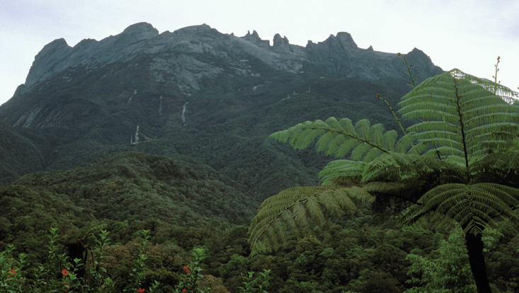 Mt. Kinabalu, Borneo Photo of Mt. Kinabalu in early morning light; Sabah, Malaysia