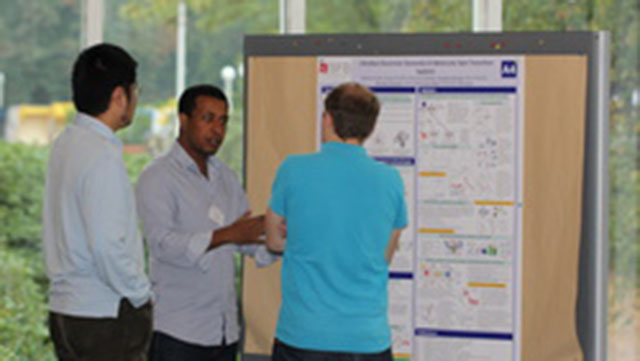 SFB PhD Workshop 2015 in Hohwacht Grafik