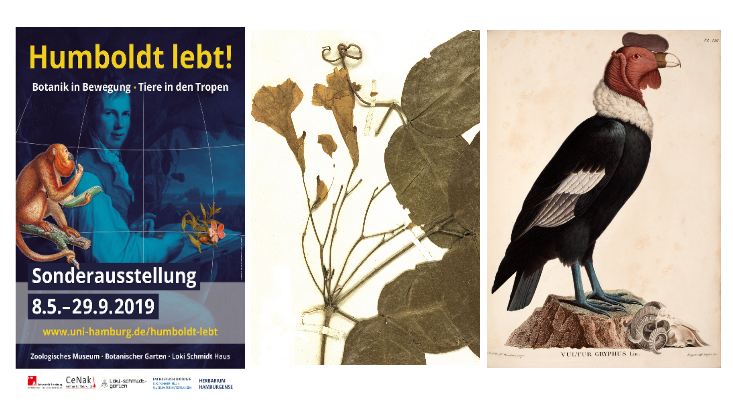 Ausstellungsplakate Humbodt lebt!