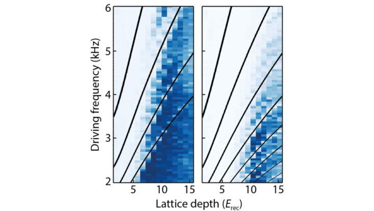 Wissenschaftliche Grafik