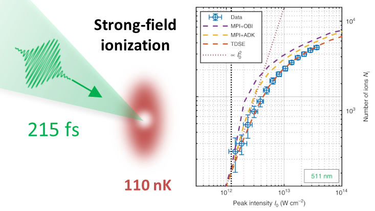Absolute strong-field ionization probabilities