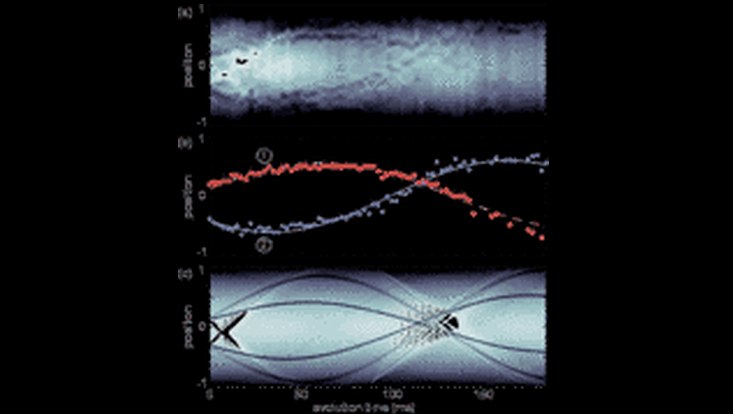 Wissenschaftliche Grafik